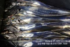 7지.5지 초저녁부터 물어주는 대박조황!!믿고오시면 됩니다.마량대성1호 010-7289-7500 사진