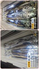 통영 뉴 아시아호>> 대 갈치 포인트 찾아 먼 곳으로~ 오늘 금요일 자리 여유 사진