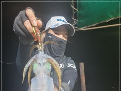 1   [통영] 무늬 걸었다하면 고구마~ 1 사진