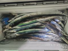 [사천] 내일 텐빈텐야 달립니다 6분예약중 무조건 달립니다 10자리여유 … 사진