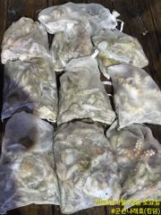 8월 21일 군산 뉴블루스타호 야간 꽃게 낚시 대박 현지 조황. 사진