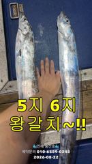 [진해] [준내만갈치] 6지 용가리 포함 3~4지급 속출! 쿨러 채우고 … 사진