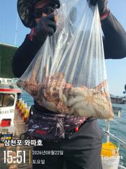 문어 따박따박 좋습니다 사진