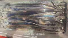 [여수뉴킹덤] 8월23일 입항 조황!!! 다음주 금요일 자리있습니다!! 믿고오세요 01023004931 사진