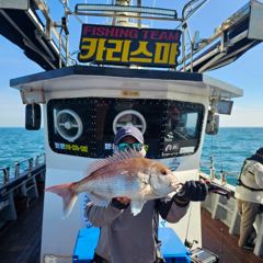 8월 23일 카리스마호 참돔 사진