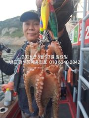 8월23일 군산 홈런호 야간 문어 출조 하였습니다.첫포인트 부터 준수한 사이즈 문어가 올라와 줍니다.실시간 구경들 하세요. 사진