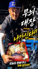 [ 무늬 팁런 ] 6분이 100수 찍었습니다. 사진