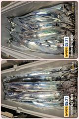 [통영] 통영 뉴 아시아호>> 땀 흘려가면서 열낚 하신 조사님들 쿨러 … 사진