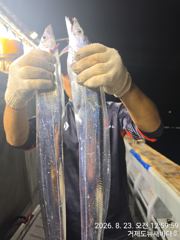 [거제] 뉴새바다호 14석 갈치 3지 4지 오늘 예약됩니다 사진