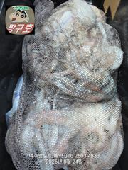 여수 짱구호 8월24일(월) 문어(총167수)조황 및 출조모집 사진