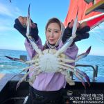 8월24일 홍원항 백두산호 꽃게 조황입니다.. 사진