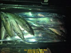 8/24(월)부터 자리있습니다. 갈치사이즈좋게 나오고있습니다. 어서들 오세욤^^ 사진