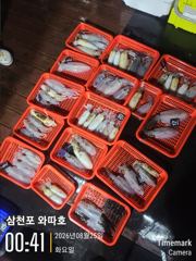 어제 월요일 팁런 조황입니다 사진