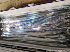 8월25일입항 대갈치 조황소식입니다 사진