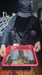스페셜드림선단 8월25일 입항 무늬팁런 조황입니다 사진