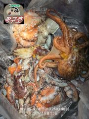 여수 짱구호 8월25일(화) 문어(총100여수)조황 사진