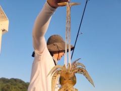 [통영] [무늬] 25일... 마릿수 이어집니다. 26일 예약중 사진