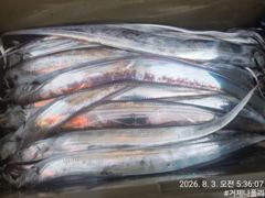 텐야 텐빈 !!!! 점점 날씨가 풀리기 시작하네요!!! 사진