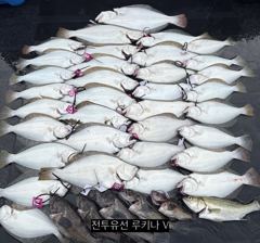 << 팀 인천 루키나 >> 08. 28. 7물 << 루키나 V 생새우 외수질 다잡아 이벤트 >> 사진