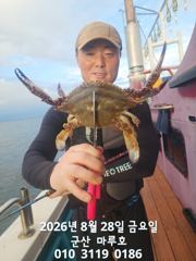 8월 28일 야간 꽃게 낚시 실시간 조항~~ 사진