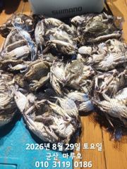 ☆ 8월 28일 야간 꽃게 최종 조항 ☆ 사진