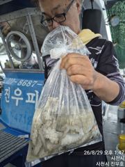 내일부터 돌문어 정상출조 합니다, 자리여유 많아요 콜 주세요 ~^^ 사진