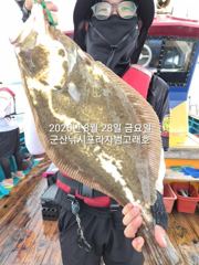 28일, 대광어 참 무쟈게 나오네요. 웬 광어가 이리도 나오는지~대대박~내일도 갑니다~ 군산 범고래호 사진