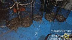 [마산] 야간돌 문어 8분서 90수오버 굿굿 매일 출항합니다 개인 두자리… 사진