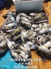 8월 28일  마루호 야간꽃게  최종 조항 사진