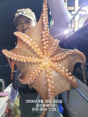 ♦♦포세이돈호⇒야간 문어 조황 8.28 사진