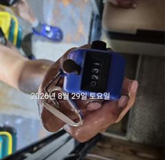 [진해] 팁런무늬무니!!!3자리수!!장원41수!!내일 예약가능 사진