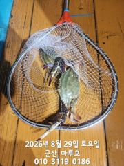 야간 꽃게 실시간조항 사진