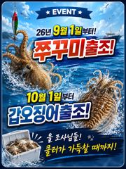 오늘의 조황 - 9월1일부터!쭈꾸미출조합니다! 만쿨만쿨! - 군산 탑피싱,배낚시,바다낚시 사진
