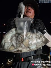 29일 문어 오후반 조황 소식입니다 사진