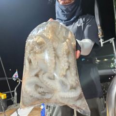 8월29일 토요일 야간문어 사진