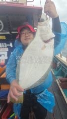실시간 조황 - 29일,오늘도 굿굿 대광어 참 무쟈게 나오네요. 웬 광어가 이리도 나오는지~실시간~내일도 갑니다~ 군산 범고래호 사진