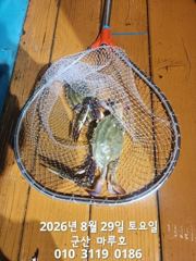 8월 29일 야간 꽃게 최종  조항^^♡ 사진