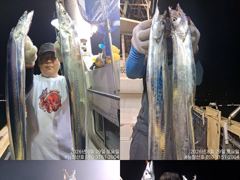 [완도 청산호] 26.08.29 씨알 좋은 갈치 조황 입니다. 찾아주신 조사님들 감사합니다. 사진