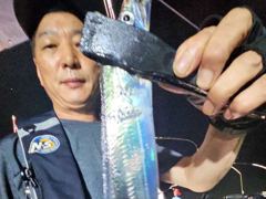 [진해] 내만갈치 30일 조황 씨알 마릿수 좋읍니다. 오늘 자리널널 사진