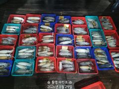 1   [통영] 무늬 팁런조황~ 오늘 17시출항 1 사진