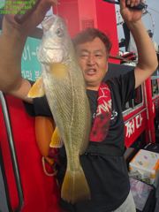 백조기 반나절ㅡ졸업식 사진