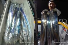 [뉴-한사리호]30일철수 갈치조황입니다 사진