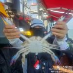 8월30일 홍원항 백두산호 꽃게 조황입니다.. 사진
