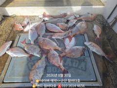 30일 3분 30개 정도 사진