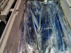 [통영] 통영영운호14석) 왕갈치 씨알 좋습니다 살아나는 대치들 쿨러조황… 사진