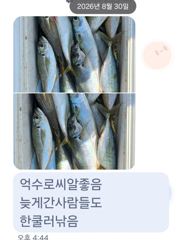 [마산] 마산 원전 선상낚시터 일요일 주간 조황 고등어 사이즈 굿!! 사진