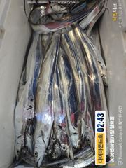 간만에 대박터졌네! 오늘도 달려봅시다! 예약가능 전화주세요~ 사진