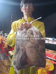 30일 홈런호 야간문어 대박조황 언제나 굿조황 마무리 했습니다 사진