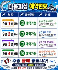 내만갈치) 길치 씨알 꾸준히 잘 올라옵니다 ~실시간 사진