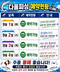 내만갈치)8월 마지막날 기분좋게 만쿨~~씨알꾸준 사진